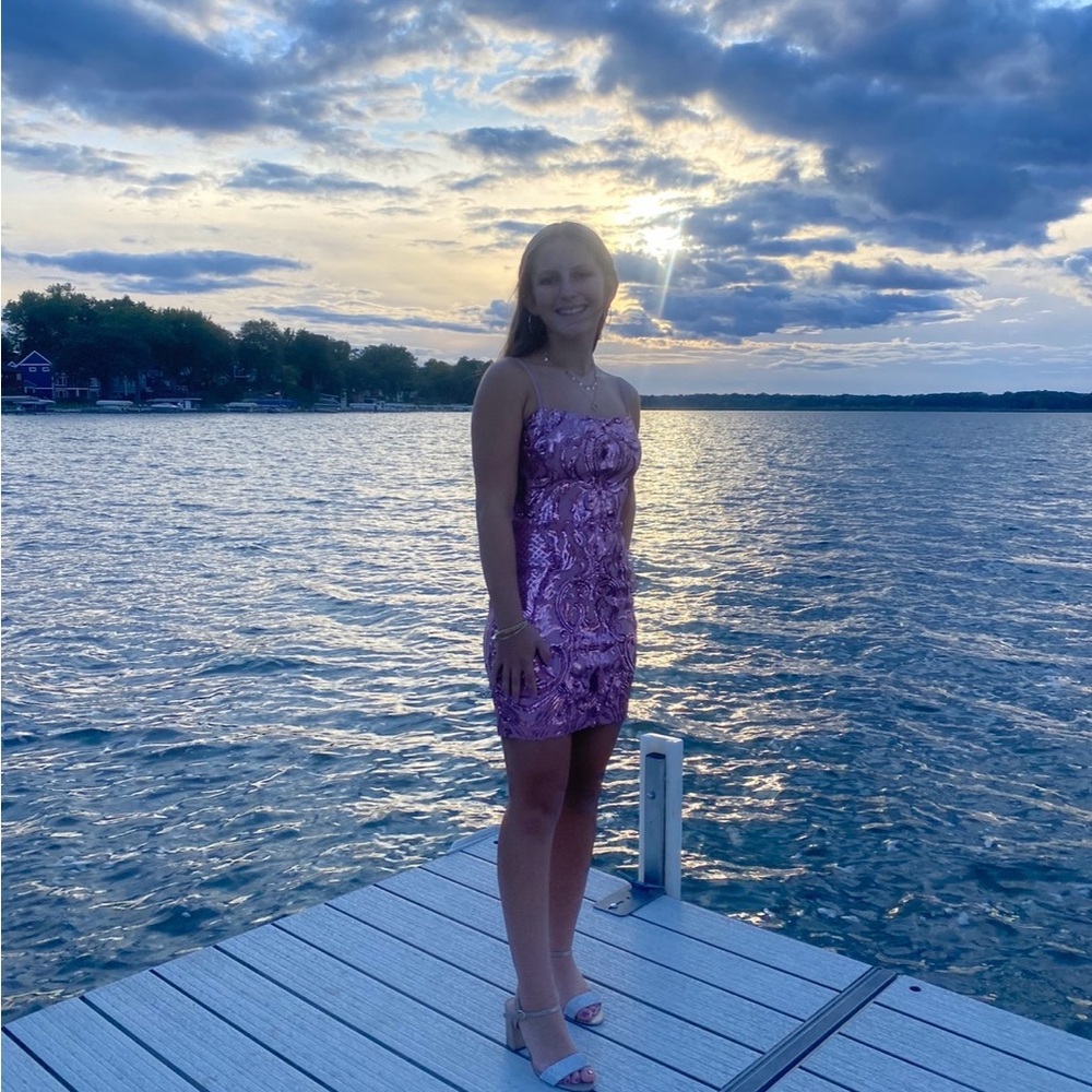 Windsor Pink Mini Dress